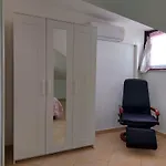 Il Gabbiano *